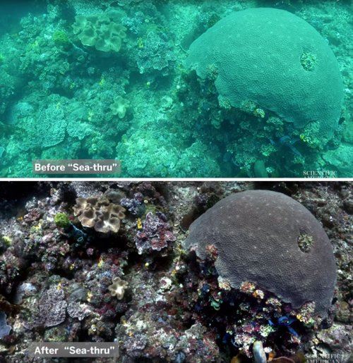 Учёные создали алгоритм, который устраняет искажение цвета на подводных фотографиях, и вот 8 примеров "до и после" (9 фото)