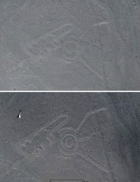 В пустыне Наска обнаружены 143 новых гигантских геоглифа (11 фото)